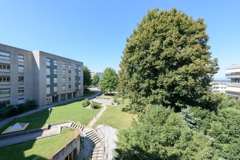 Proche du centre-ville (7)