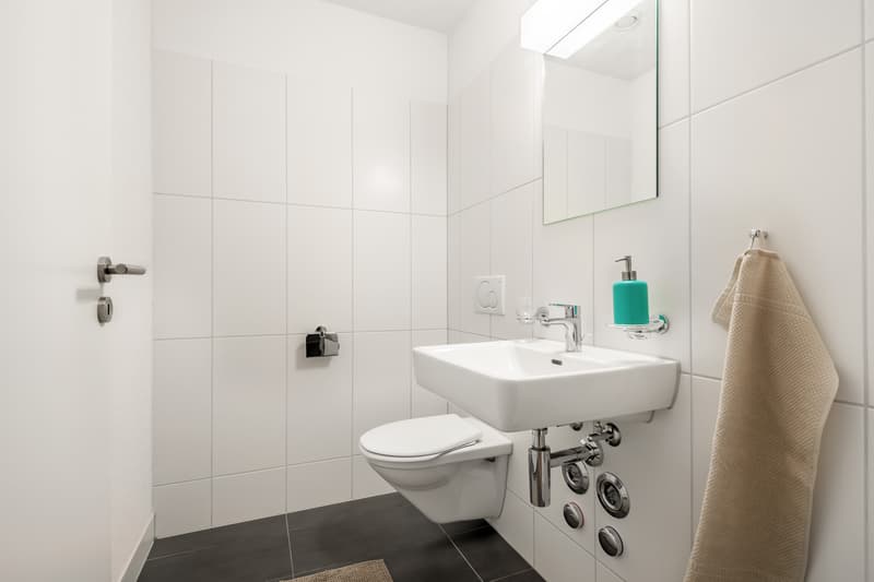Wohnung mit traumhafter Aussicht (10)
