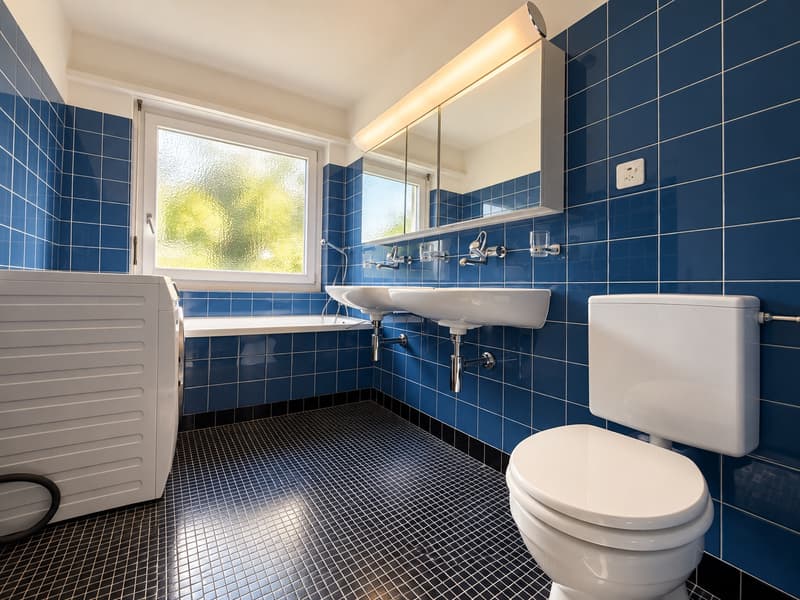 Hier strahlt die Sonne- wunderschöne Wohnung im Grünen sucht Sie! (8)