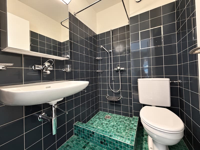 Hier strahlt die Sonne- wunderschöne Wohnung im Grünen sucht Sie! (7)