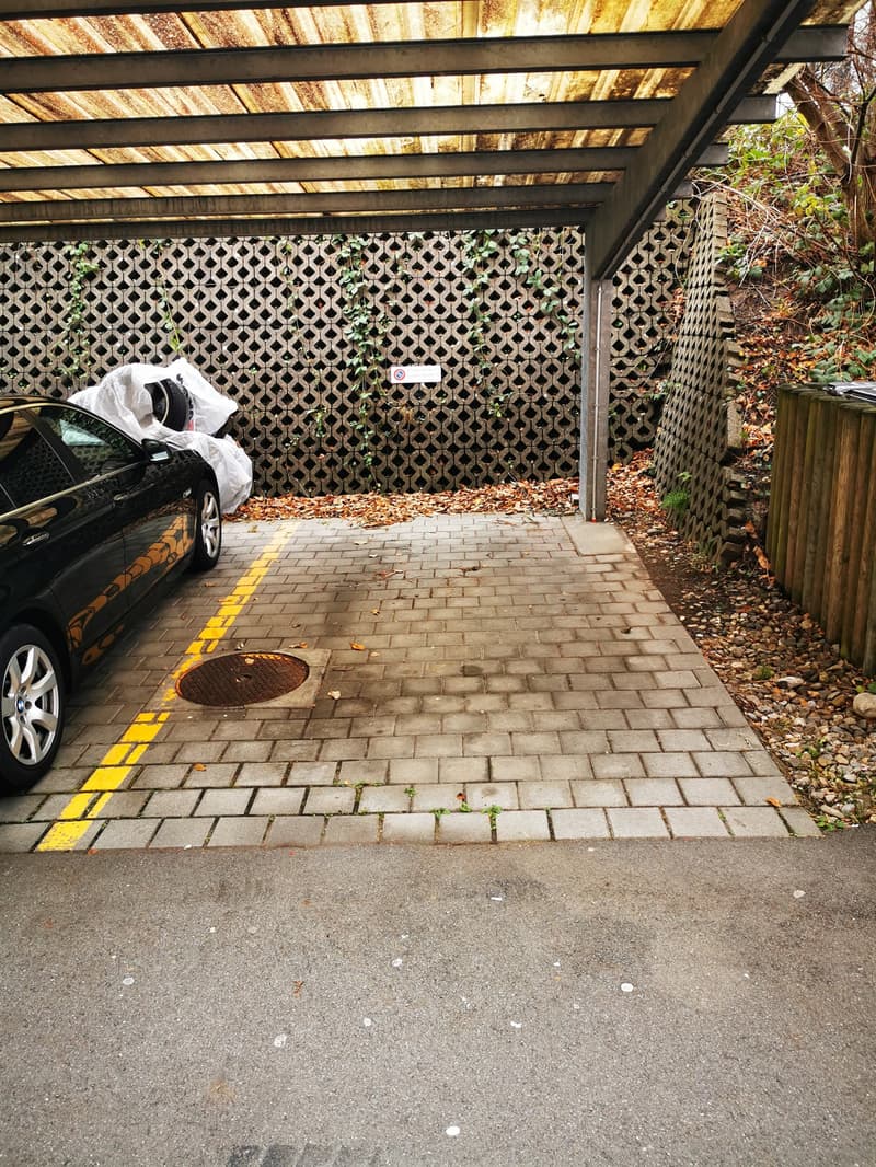 Haben Sie noch keinen Parkplatz für Ihr Auto? (2)