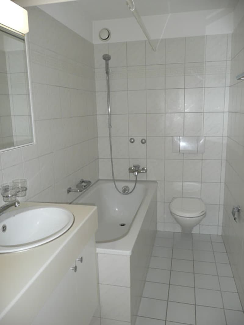 Befristete Wohnung in der Nähe vom Bahnhof Winterthur (5)