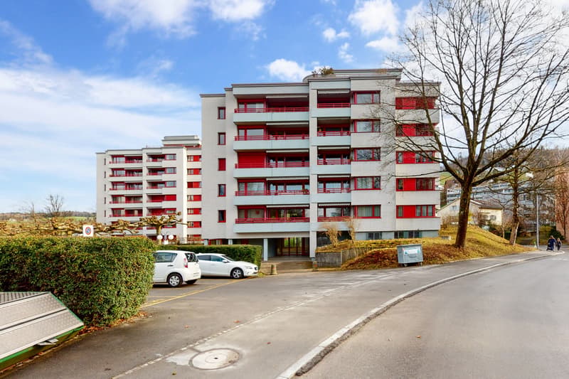 Grosszügige Wohnung in kinderfreundlicher und grüner Wohnoase (1)