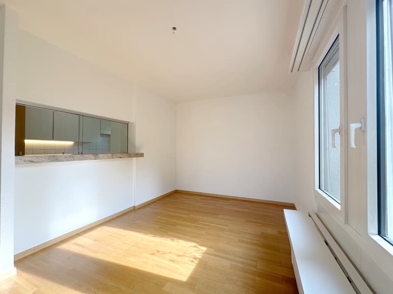 Wohntraum Attika - im bevorzugten Haslenquartier mit 2 Terrassen! (6)