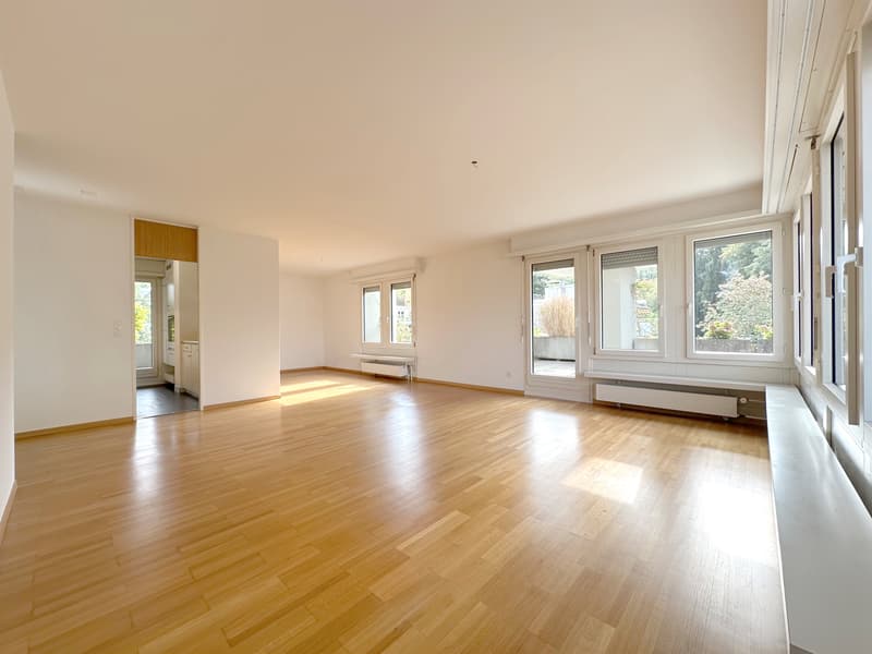 Wohntraum Attika - im bevorzugten Haslenquartier mit 2 Terrassen! (4)