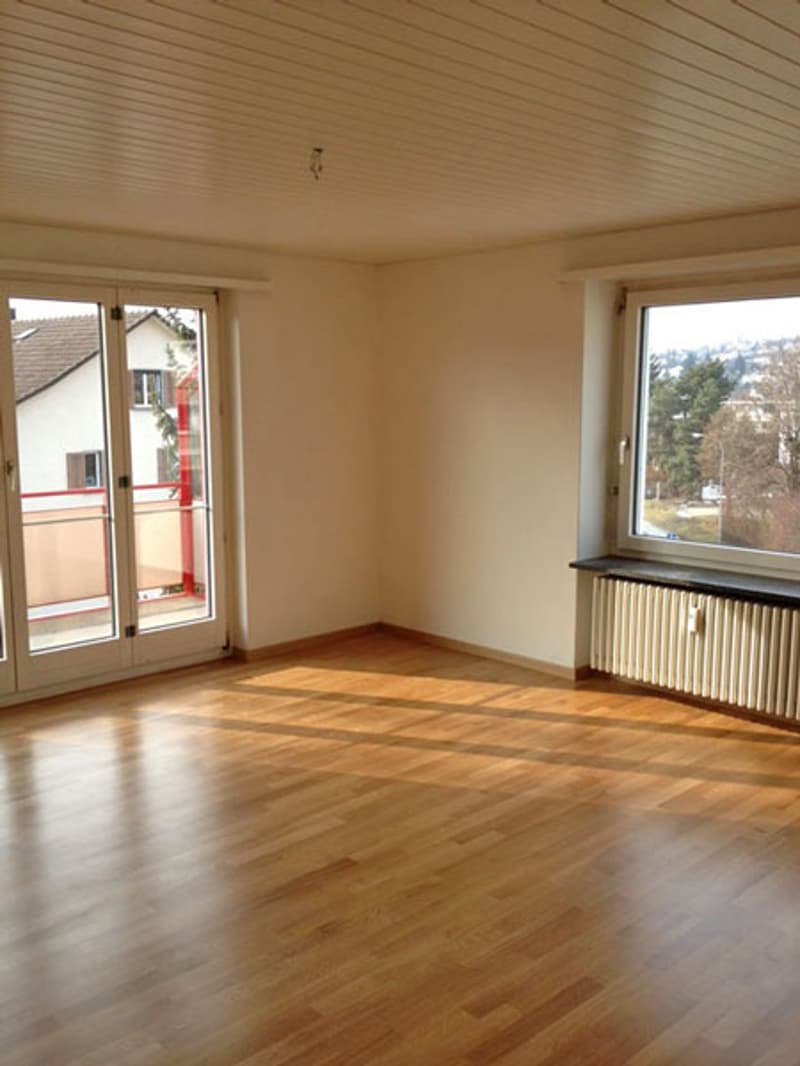 Ruhiges, sonniges Wohnquartier (3)
