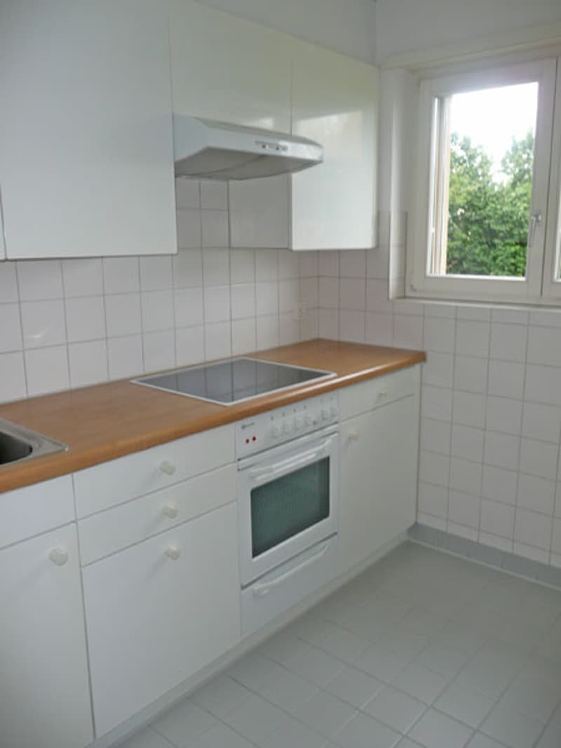 Wohnung mit Gartensitzplatz im neuem Stil! (4)