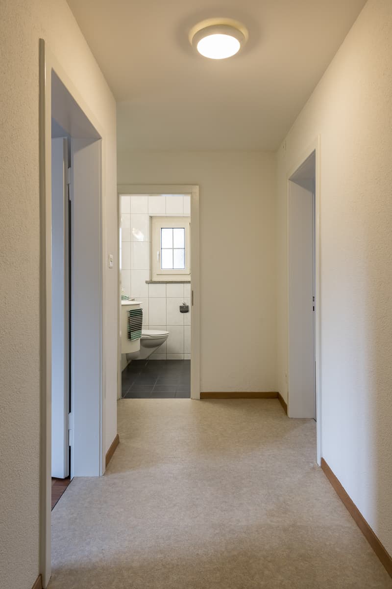 3.0 Zimmerwohnung an ruhiger Lage (3)