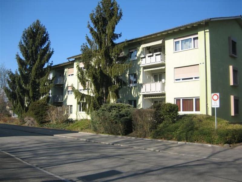 Helle Wohnung im Herzen von Wettingen (1)
