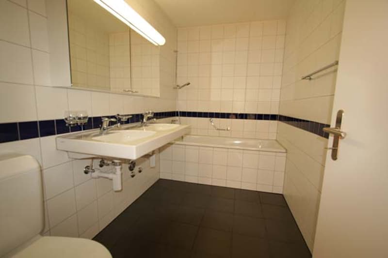 Tolle Dachwohnung an einmaliger Lage am schönen Zürichsee (5)