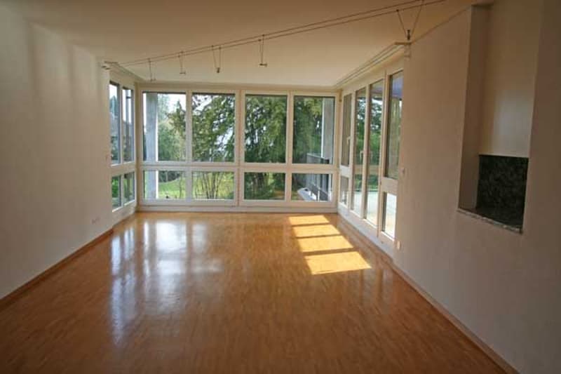 Tolle Dachwohnung an einmaliger Lage am schönen Zürichsee (3)