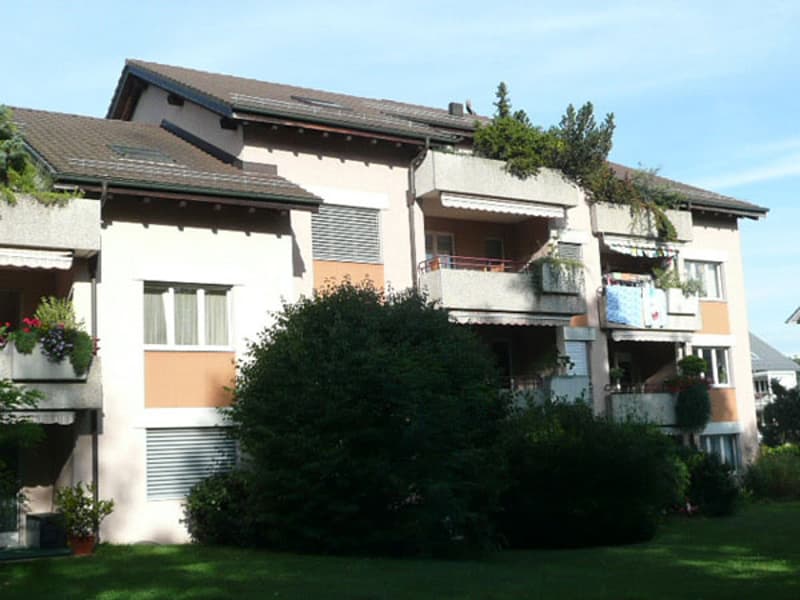 Modern wohnen in Schwerzenbach frisch saniert & bestens angebunden! (1)