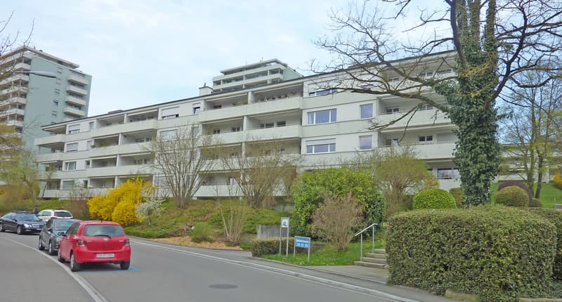 Im schönen Höngg (1)