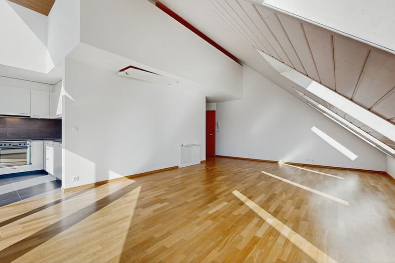 Votre logement à Epalinges ! (2)