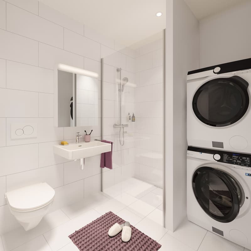 Wohnung im Henz-Areal (6)