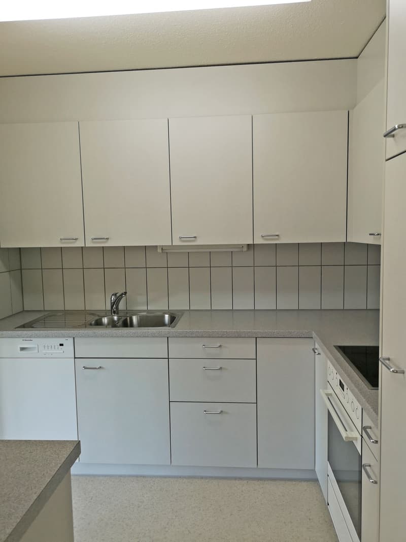 Zentral gelegene Familienwohnung (9)