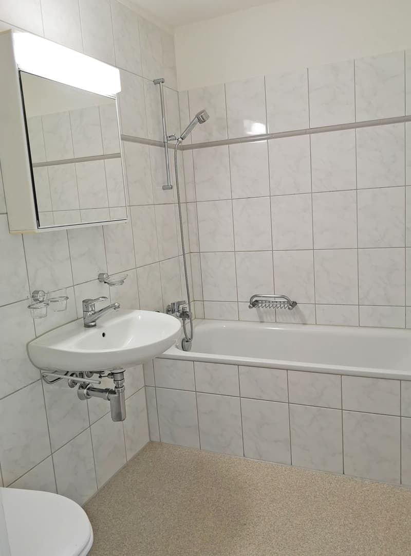 Zentral gelegene Familienwohnung (10)