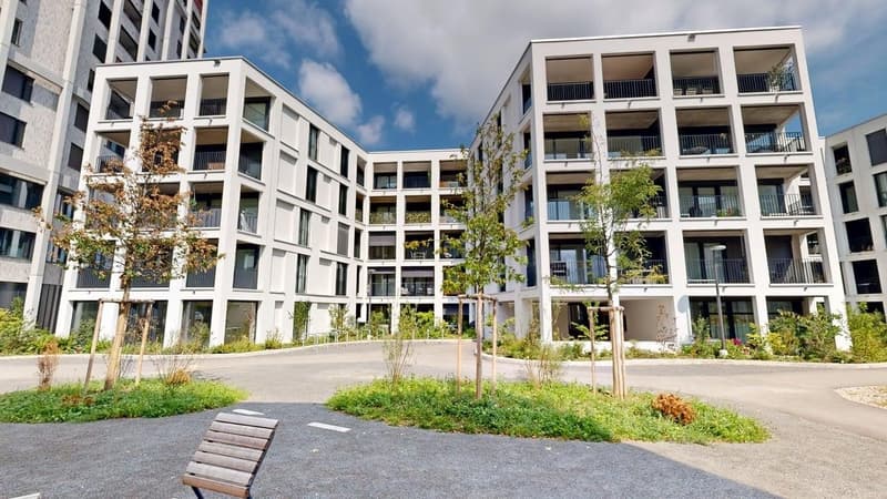 Modern wohnen an bester Lage in Aesch (1)