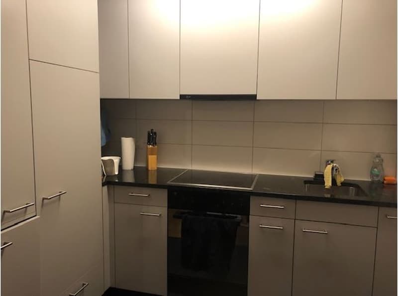 Singlewohnung im westlichen Dietikon (2)
