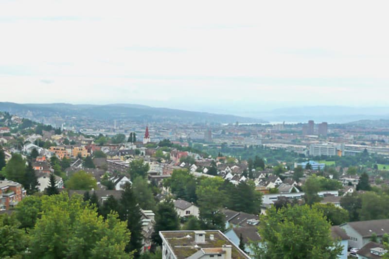 Wohnung in Höngg mit zwei sonnigen Balkonen (5)