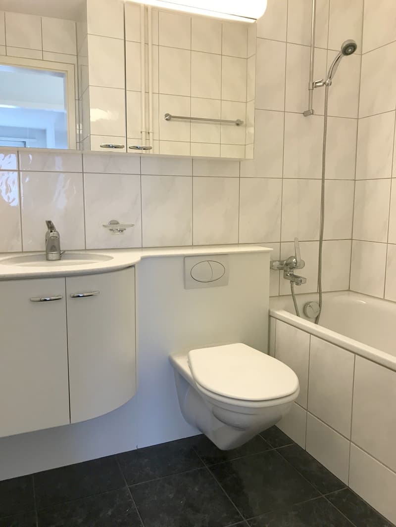 Klein aber fein - gemütliche Wohnung in Kriens! (5)