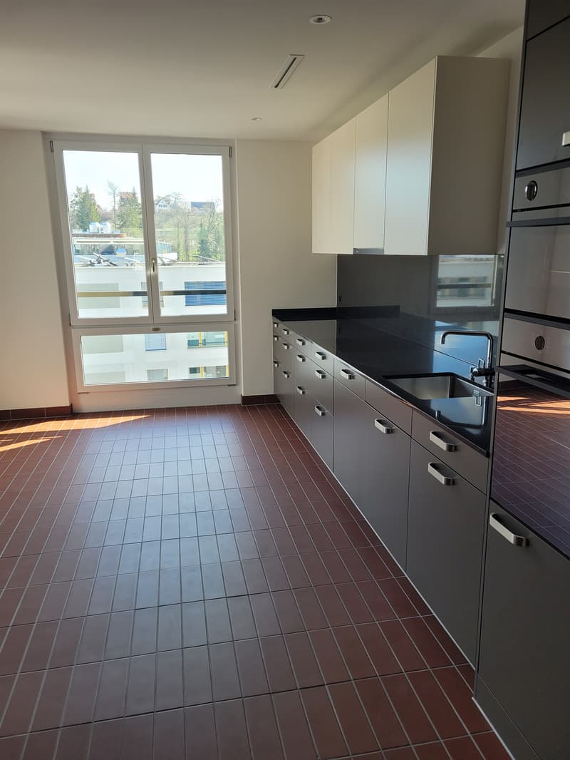 Top moderne Wohnung an der Sihl (4)