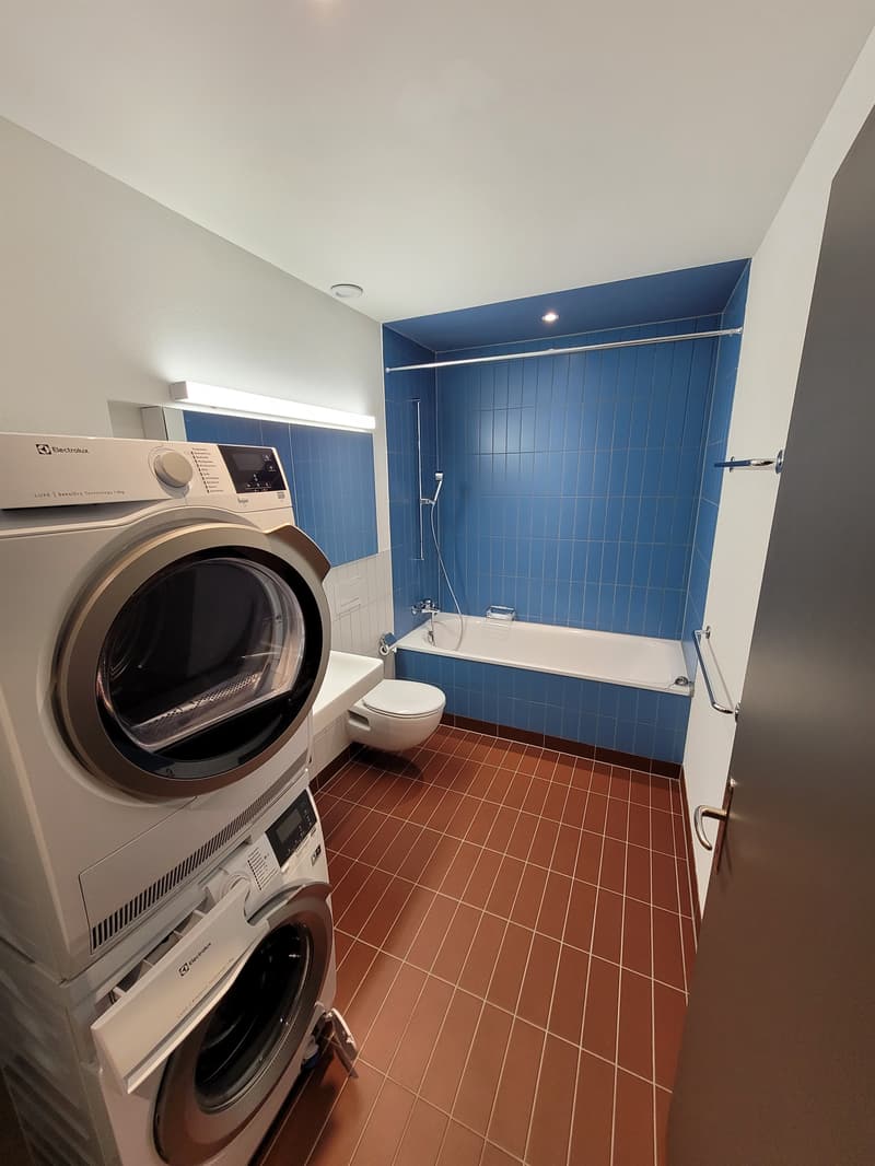 Top moderne Wohnung an der Sihl (5)