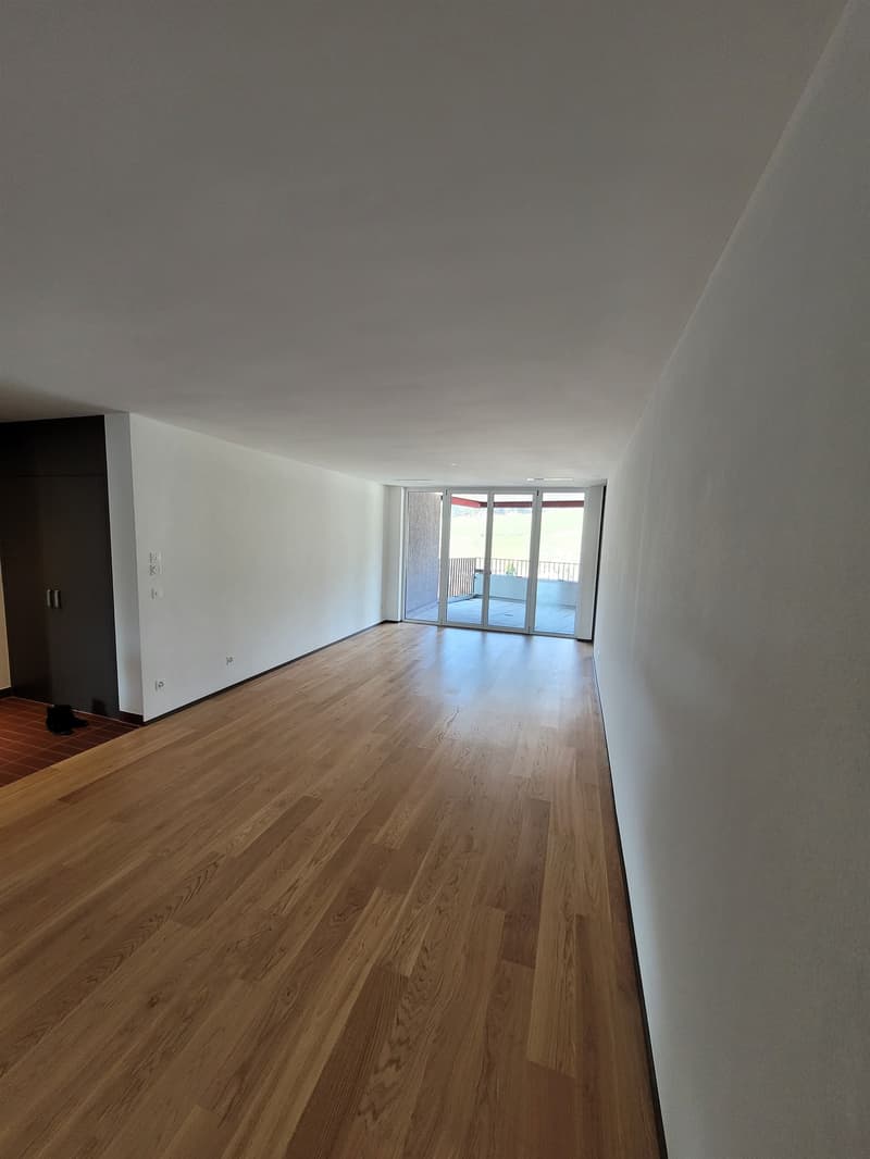Top moderne Wohnung an der Sihl (2)