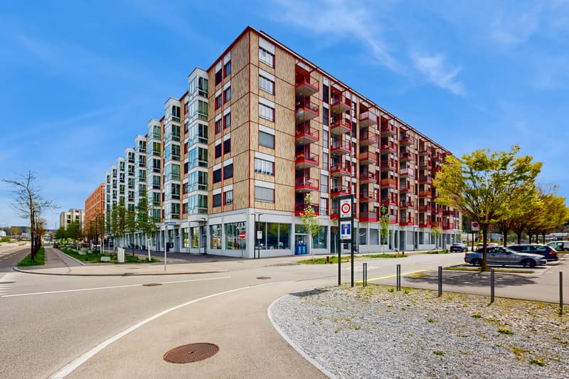 Moderne Attikawohnung (1)