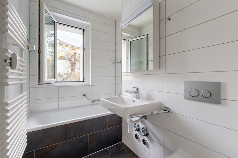 Appartement avec vue sur le lac (5)