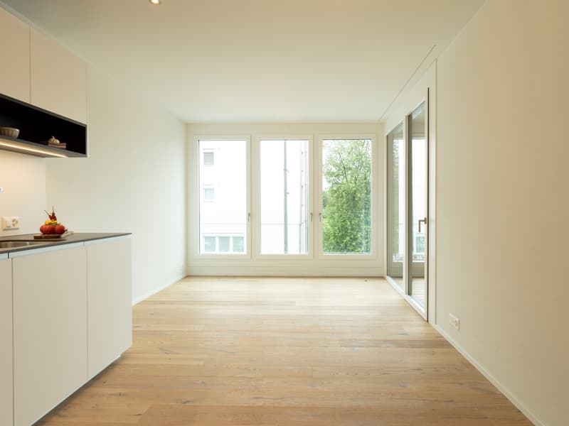 Moderne Wohnung im Zentrum von Root (5)