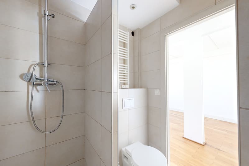 Bel appartement de 2 pièces à Carouge ! (5)