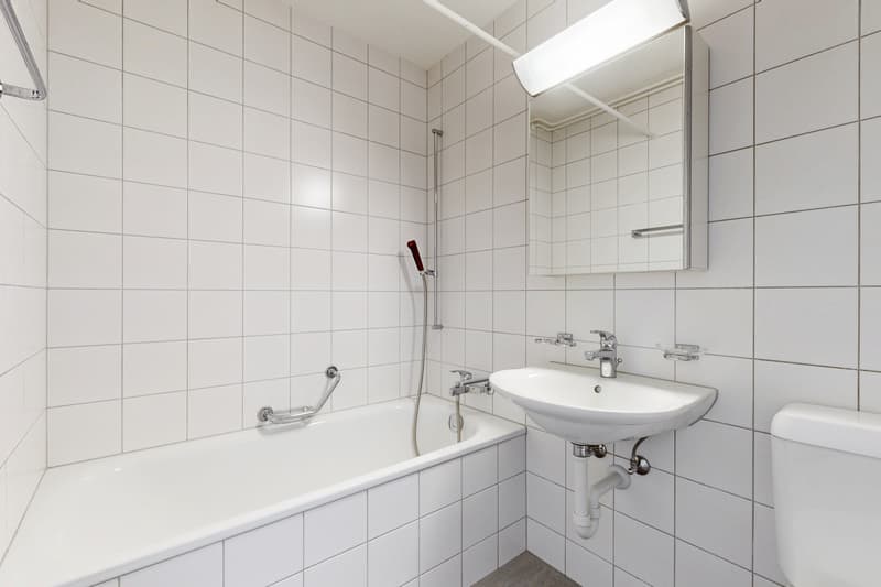 Helle Wohnung in beliebter, ruhiger Lage mit grossem Balkon.... (10)