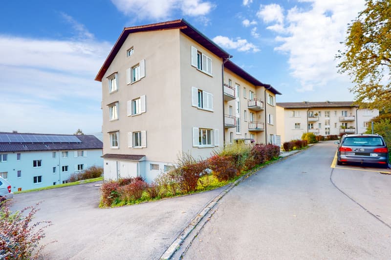 BEFRISTET FÜR 1 JAHR - Gemütliche Wohnung in Horw (1)