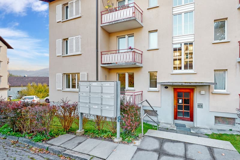 BEFRISTET FÜR 1 JAHR - Gemütliche Wohnung in Horw (2)