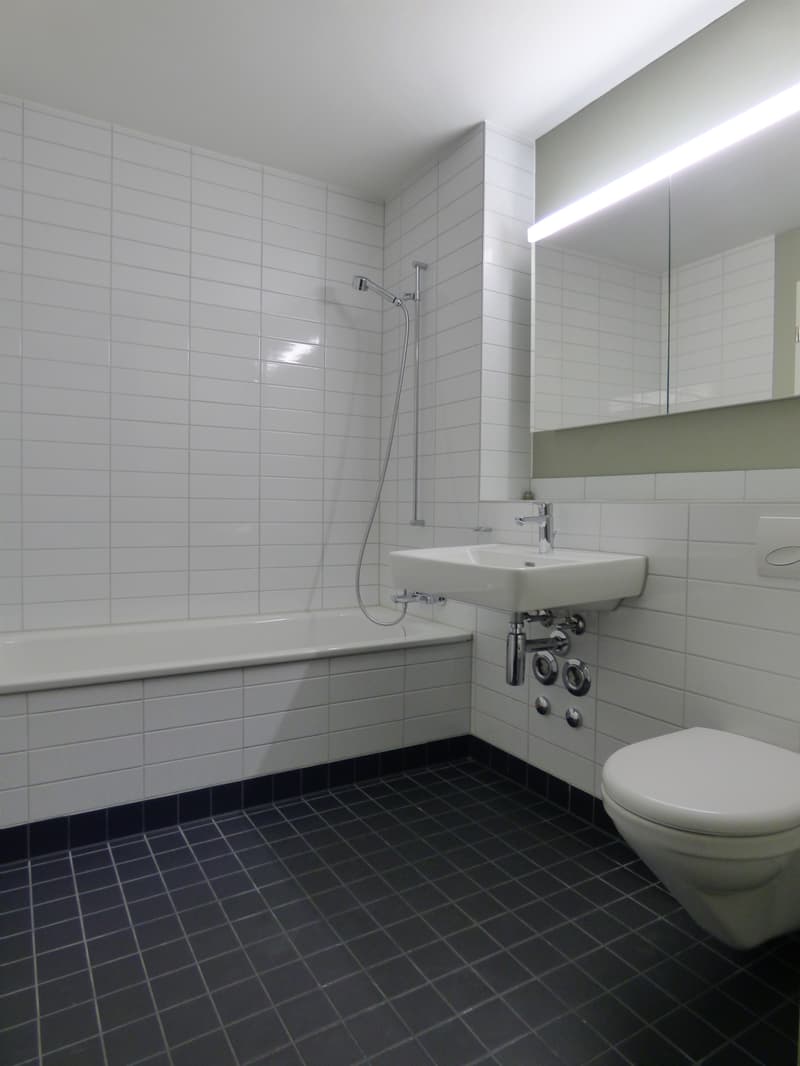 Hochmoderner Standard trifft auf Geschmack (4)