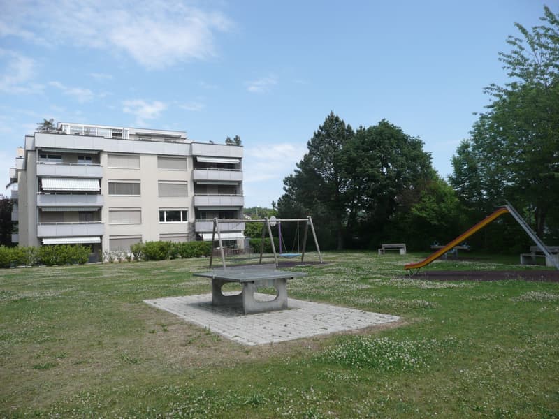 Wunderschöne Attikawohnung sucht Sie! (1)