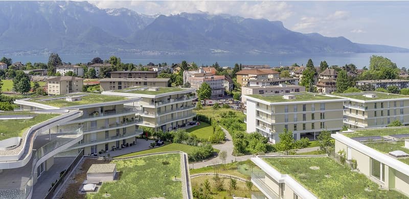Votre logement à la Tour-de-Peilz (10)