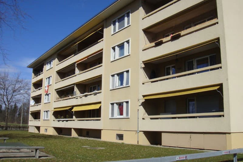 Mieten ohne Kaution - Kleine aber feine Wohnung in Uster! (1)