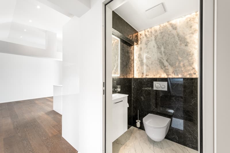 Exklusive Dachwohnung im Seefeld (6)
