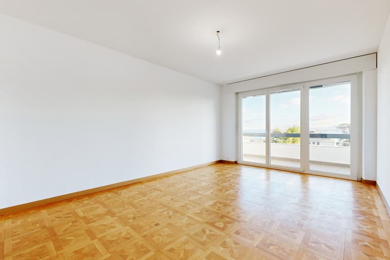 Vivre Genève - Appartement central et moderne (6)