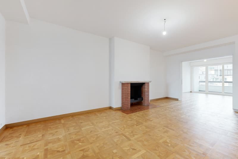 Vivre Genève - Appartement central et moderne (5)