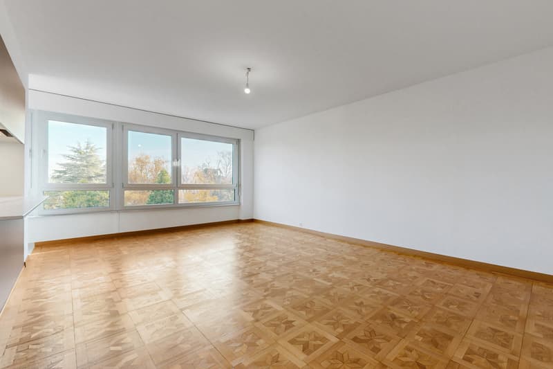 Appartement lumineux avec vue sur le Lac Léman ! (5)