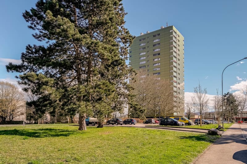 MIETEN OHNE KAUTION - Wohnung mit schöner Aussicht über Birsfelden (1)