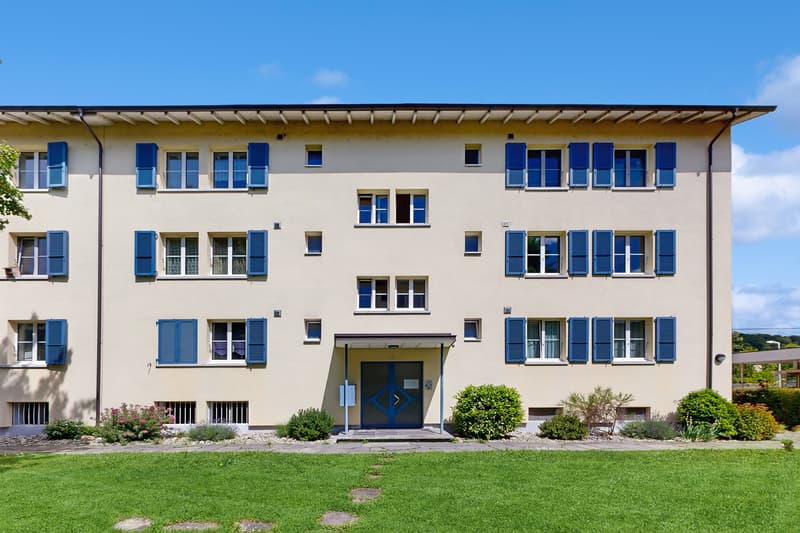 MIETEN OHNE KAUTION: Charmante Wohnung an zentraler Lage in Münchenstein (1)