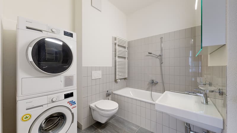 Grosszügige, helle Jugendstilwohnung (3)