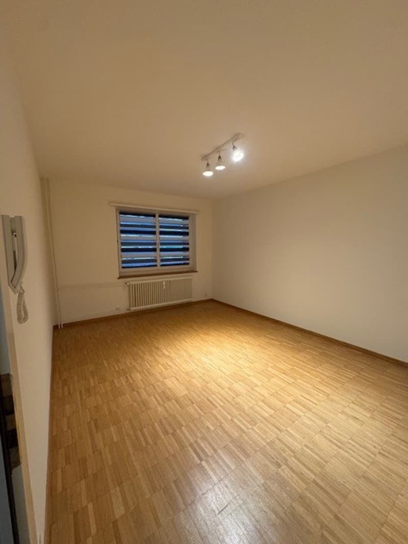 Atelier im Erdgeschoss zu vermieten (3)