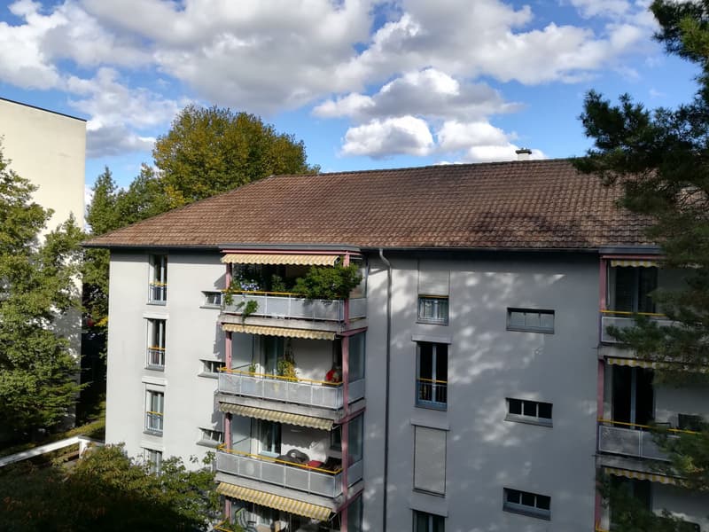 Atelier im Erdgeschoss zu vermieten (1)