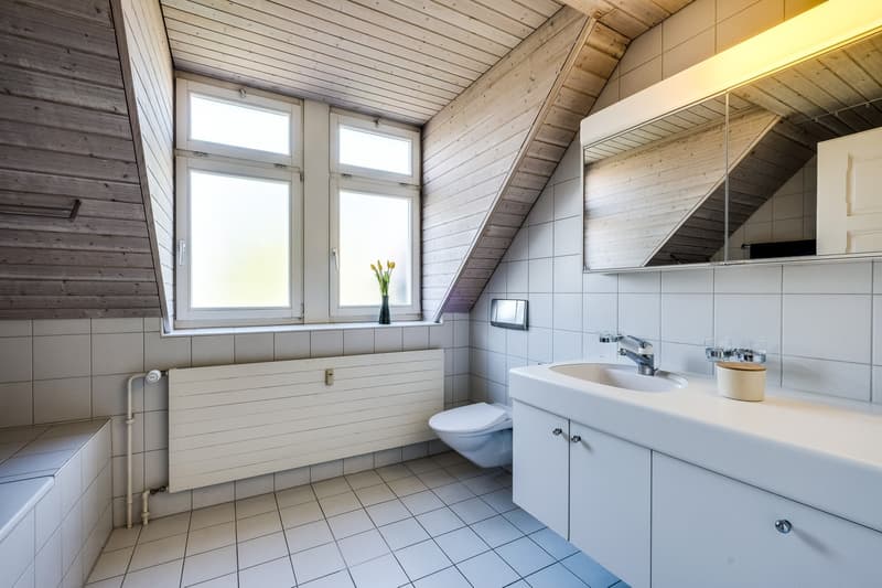 Charmante Wohnung inmitten von Langenthal sucht einen Nachmieter. (3)