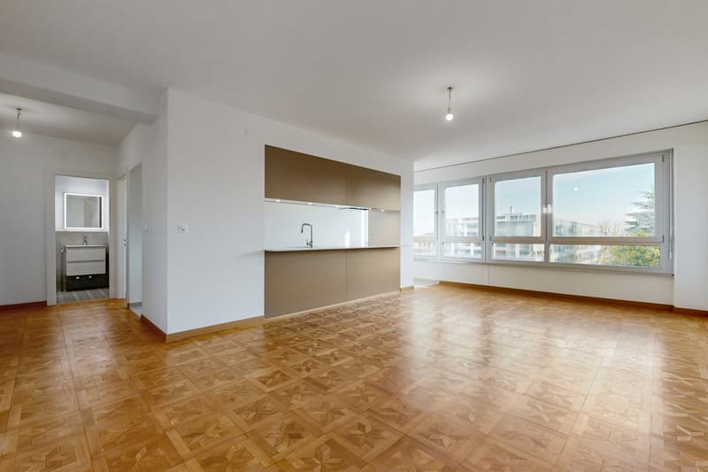 Appartement lumineux avec vue sur le Lac Léman ! (2)